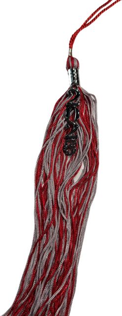 2026 DATED STACKED TASSEL
