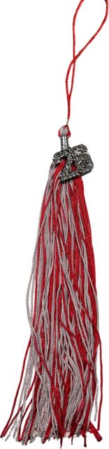 2026 DATED BLING TASSEL